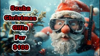 Scuba Christmas Gift Idea For $100
