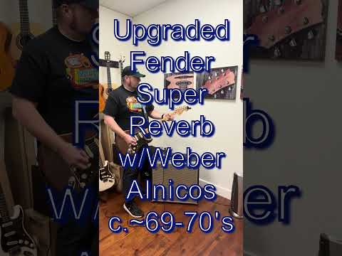 Fender Super Reverb ~1969-1970 - Silverface image 8