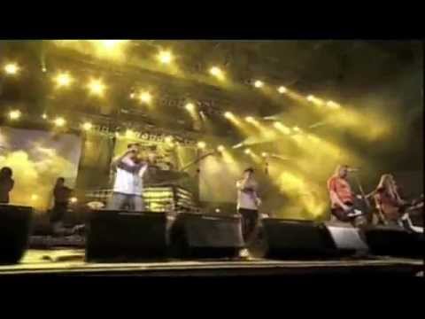 Divokej Bill - Stromy