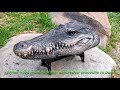 Remote Control Crocodile Head