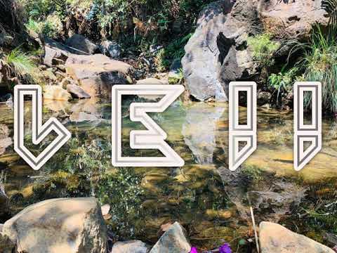 XMAN-TODA LA NOCHE [DUSTII ZOUK REMIX] 2020