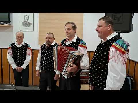 Prijatelji Jožeta Bohorča - Pridi, pridi (v živo)