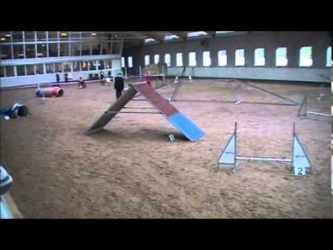 151011 Tønsberg, Agility klasse 1, Lita