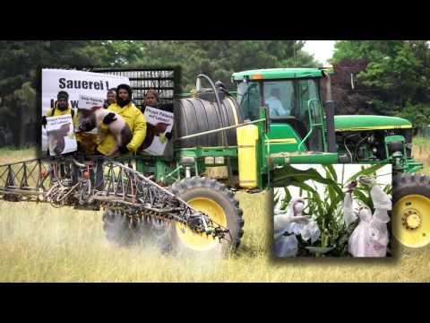 Ich habe CDU gewählt