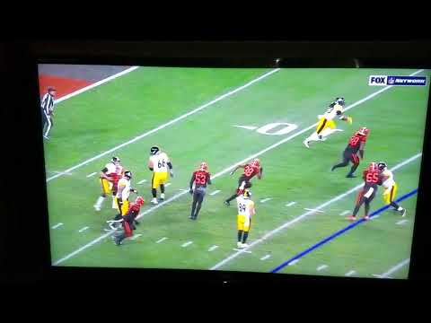 Browns Steelers full fight