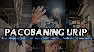 Download lagu DJ KOK KOYO NGENE ABOT SANGGANE || PACOBANING URIP VIRAL TIKTOK ADI AS RMX mp3