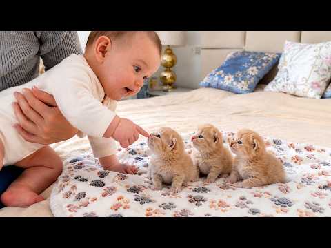 YouTube 썸네일