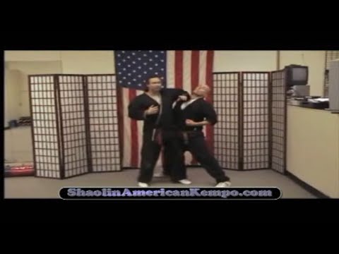 Shaolin Kempo Karate 👊🏿 Combinations ⬅️ - Shaolin Kempo Karate Combinations 60's  - Gm Jim Brassard