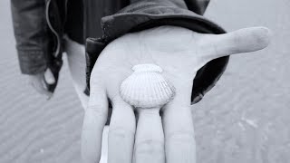 Bettie Serveert feat. Prof. Nomad &amp; Co - Say You Will