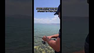 כשהדגים רוצים אבטיח נדאג להם לדמוי בצבע אבטיח 😅