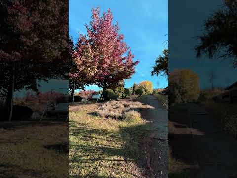 Venta Parcela Santa Ana - 5,2 Ha. Ubicado cerca de Quillón!