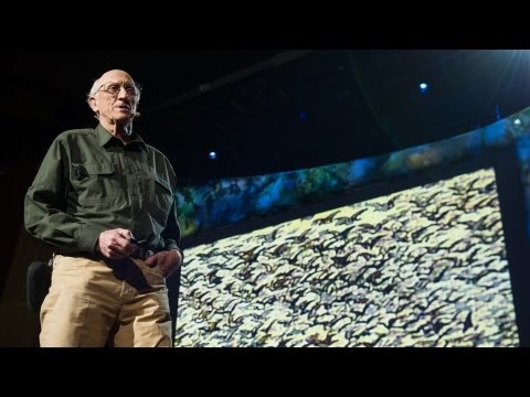 【TED】史都華．布蘭德（Stewart Brand）： 終止滅絕的明天。你準備好了嗎？ (Stewart Brand: The dawn of de-extinction. Are you ready?)