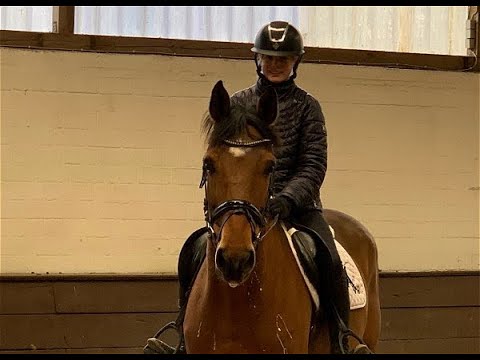 GOOD BOY 11j. v.  Vigo d'Arsouilles - Chin Chin  VB 12.000,- Euro