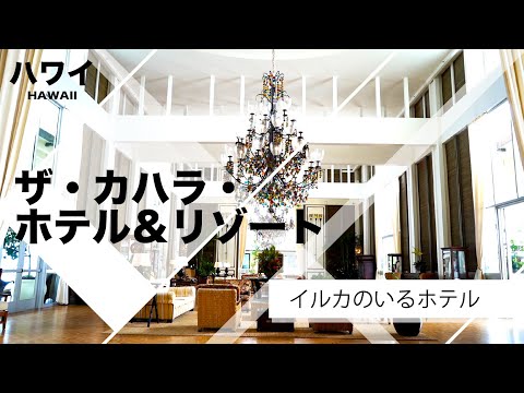 地図で見る: ハワイ