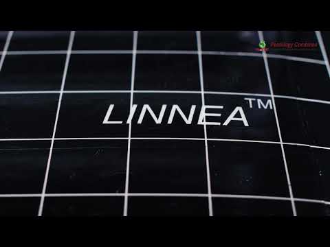 Linnea® Flying Insect Catcher