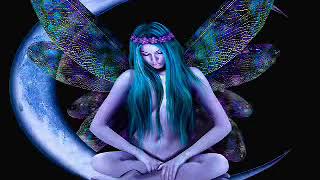 Amore Amore   Claudia Jung