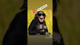 Download lagu Tetap Mengeluh Kawan 😂🤣 #lucu #viral #shorts #trendingshorts #youtubeshorts #viralshorts #lawak mp3