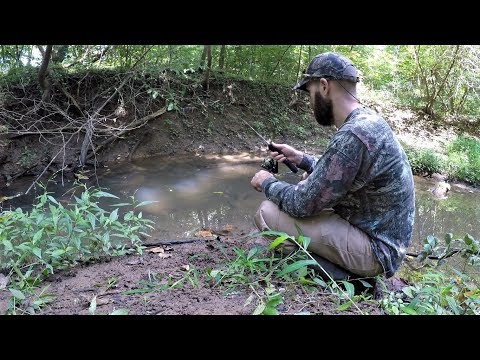 MICRO Fishing in a SUPER TINY Creek (multi-species)