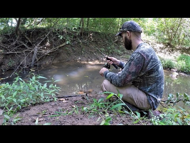 MICRO Fishing in a SUPER TINY Creek (multi-species)