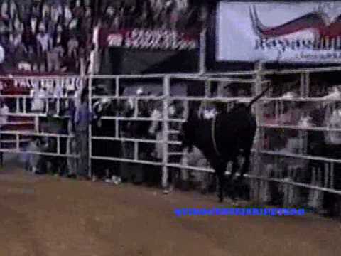 PATO CHAVEZ VS EL CHOLITO JARIPEO EN LA MONUMENTAL