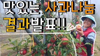 맛있는 꿀맛 사과 나눔 결과 발표 - Sharing apples