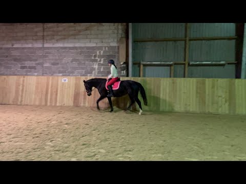 Online banespring svh 1 (30cm) bane 2