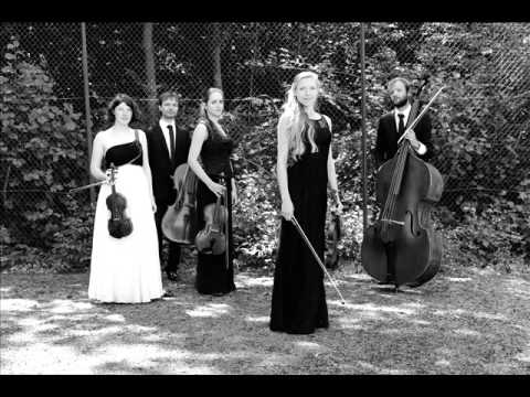 Frederick Septimus Kelly - Elegy for strings in Memoriam Rupert Brooke - St. George Quintet