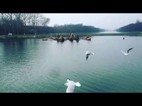 Gold Lake - Traveller (Lyric video)