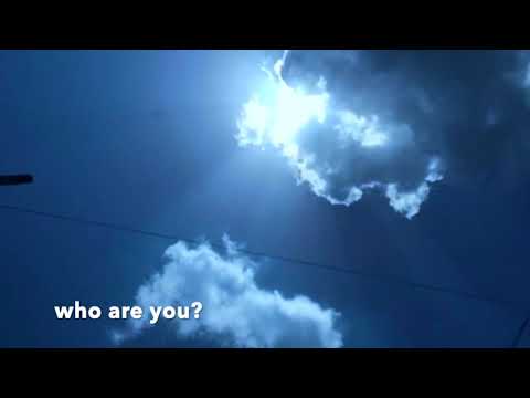 Mallbangs - Forget Me Nots (Official Video)