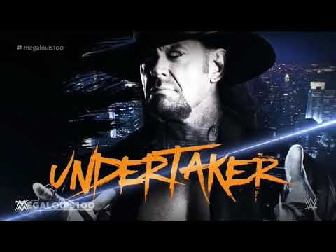 WWE summerslam 2015 Theme Song🔥