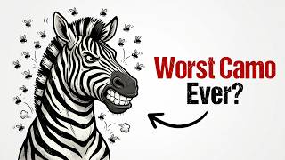 You Are Completely Wrong About Zebras (Here's Why)