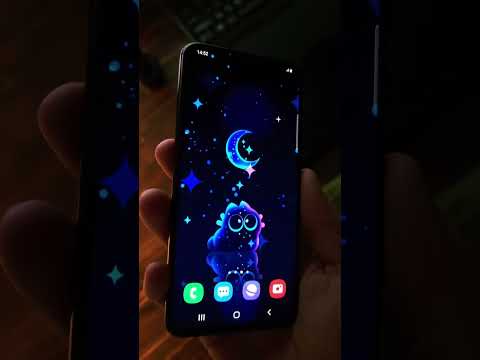 Stardust Kitten video thumbnail