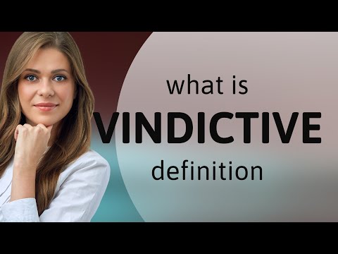 Vindictive • meaning of VINDICTIVE