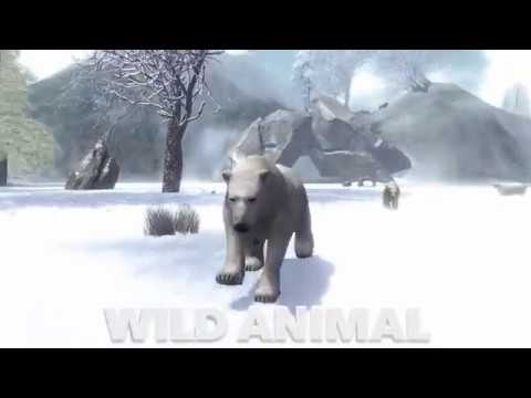 Ultimate Arctic Simulator Video