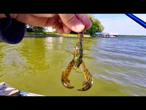 Skipping Creature Baits Under Docks for BIG Fish! This was EXSPENSIVE!