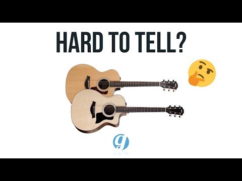 Simple Taylor 114ce VS 214ce Tone and Specs Comparison (no talking) #acousticguitar #tayloracoustic