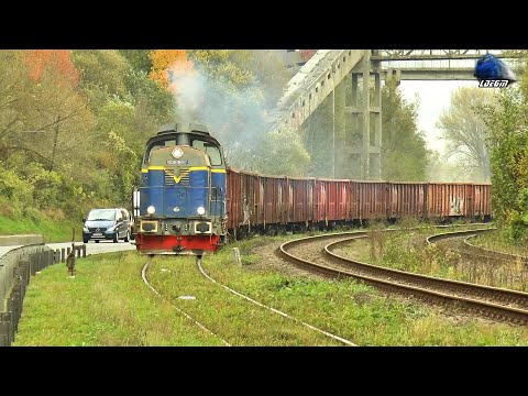 LDH1250 81-0810-7 & Marfar VTS Freight Train & Mecanic Super Engineer in Bologa - 29 October 2020