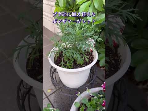 ロマンチックなウェディングブーケ