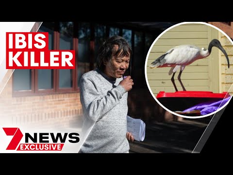 Ibis killer Tom Quach appears in Waverley Local Court | 7NEWS