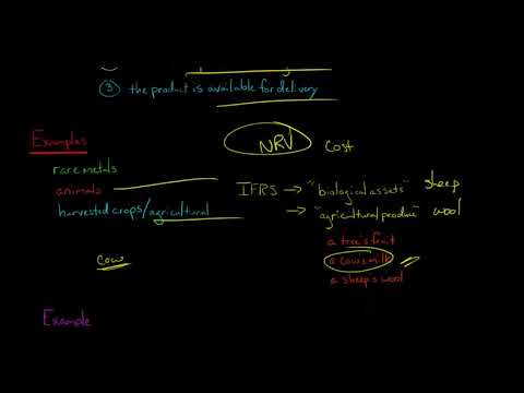 Recording Inventory at Net Realizable Value