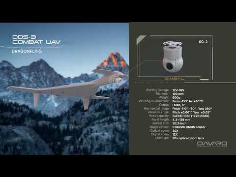 «DDS-3» մարտական ԱԹՍ (պարեկող զինամթերք)