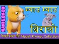 Meow Meow Biralo - Myau Myau Biralo | Nepali Rhymes Collection | लोक प्रिय नेपाली बाल 