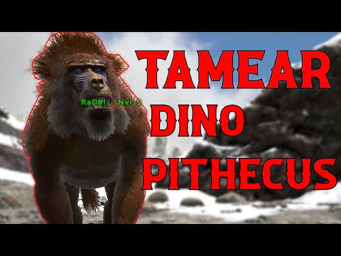 COMO TAMEAR A TU "RAFIKI" (DINOPITHECUS) - ARK: LOST ISLAND *NUEVO MAPA*