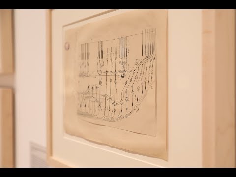 Beautiful, Surreal Drawings of the Brain by the Father of Modern Neuroscience