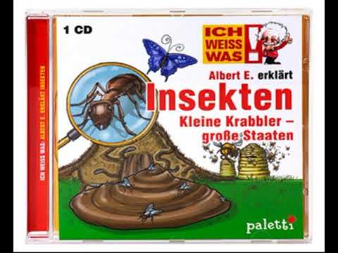 Albert E. erklärt Insekten