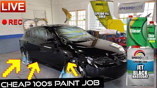 The Ultimate Guide to a $100 Home Paint Job with Speedokote!