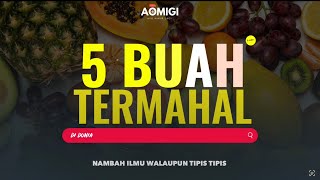 Download lagu 5 BUAH TERMAHAL DI DUNIA mp3