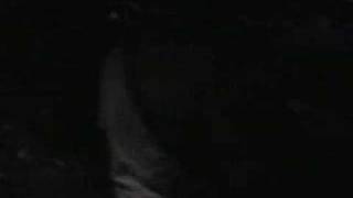 Diecast - Singled Out live and more
