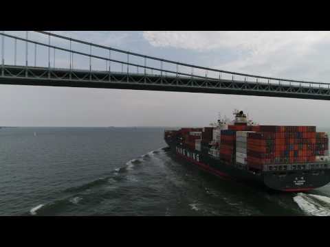 Drone vs. Hawk (Condensed)