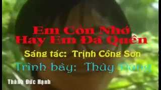 Thùy Dung - Em Còn Nhớ Hay Em Đã Quên